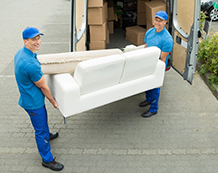 Pegler Removals