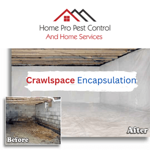 local pest control specialists